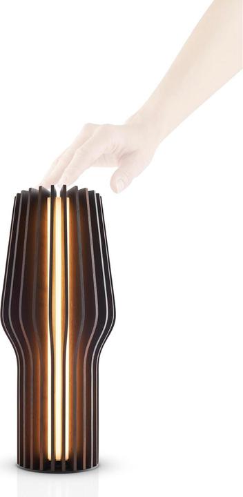 Actual product image Eva Solo Radiant (135.75 lm)
