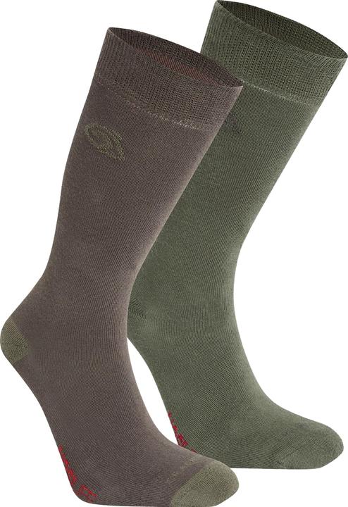 Wild Olive, Woodland Green