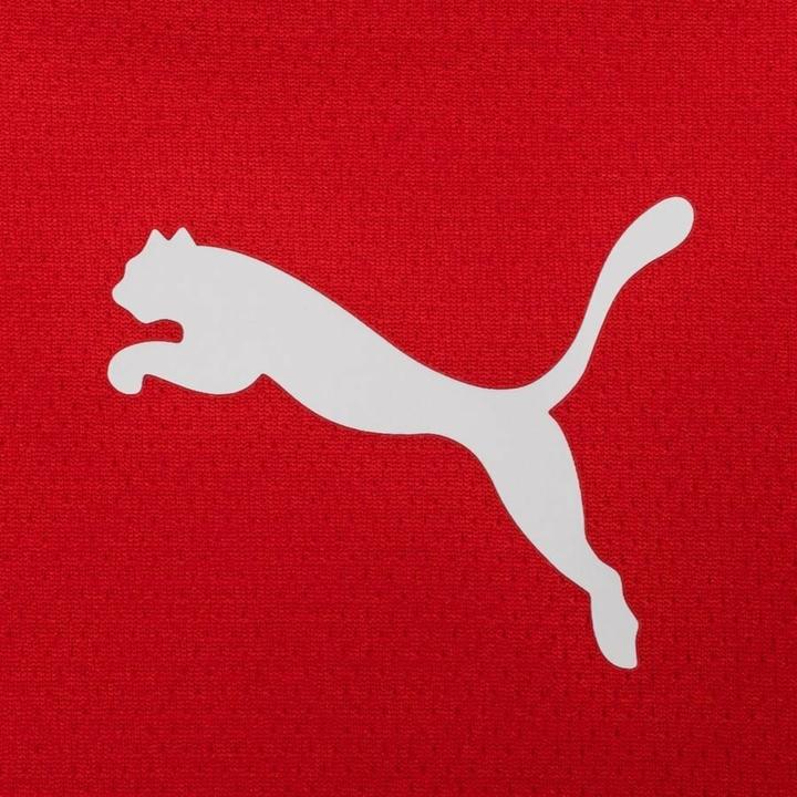 Image du produit Puma teamRISE Jersey-704932 (XL)
