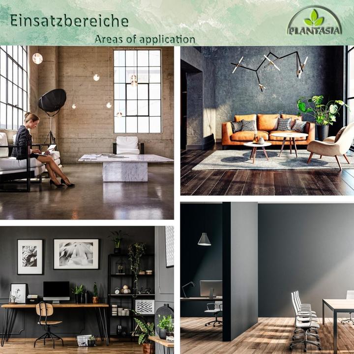 Image du produit Plantasia Bambou Arbuste (160 cm)