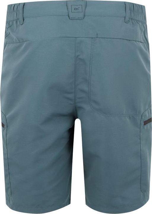 Actual product image Regatta Mens Leesville III Shorts (48 D)