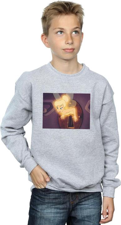 Actual product image Disney Boys Tinker Bell Lock Squeeze Sweatshirt (140, 146)