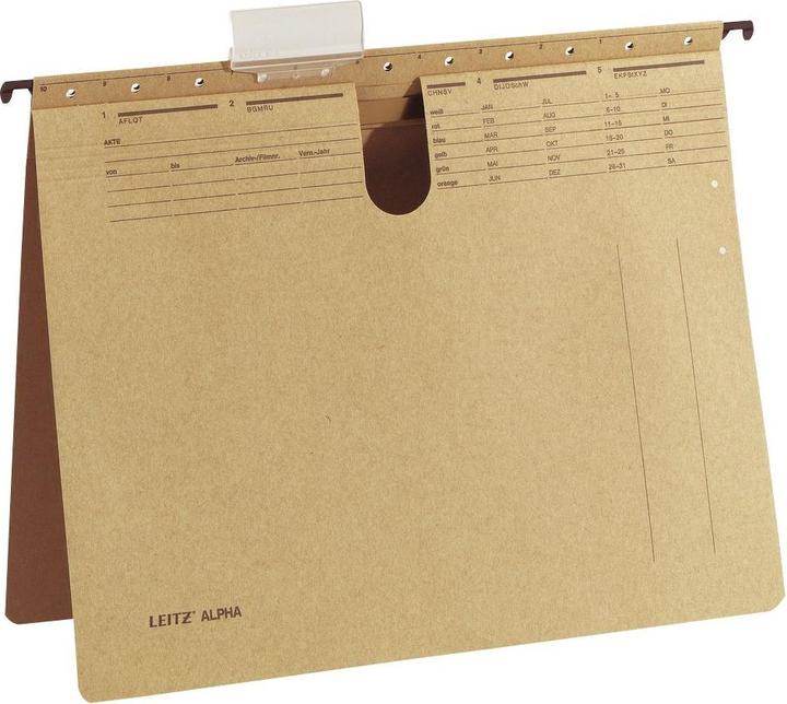 Leitz ALPHA Hängehefter, A4, kaufmännische Heftung, natron (A4, 10 x)