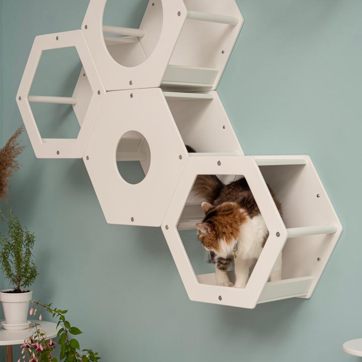 Immagine prodotto Wowhelperco Parete da arrampicata per gatti 8 pezzi (Bianco)