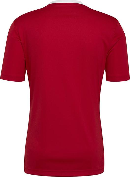 Actual product image adidas T-shirt ENTRADA 22 JSY Y H61736 H61736 red XXXL (3XL)