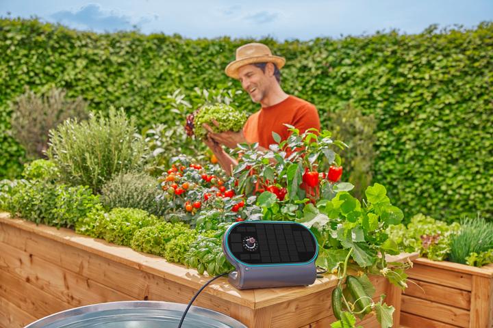 Productafbeelding Gardena Solar-Bewässerung AquaBloom L Set (Set druppelirrigatie)