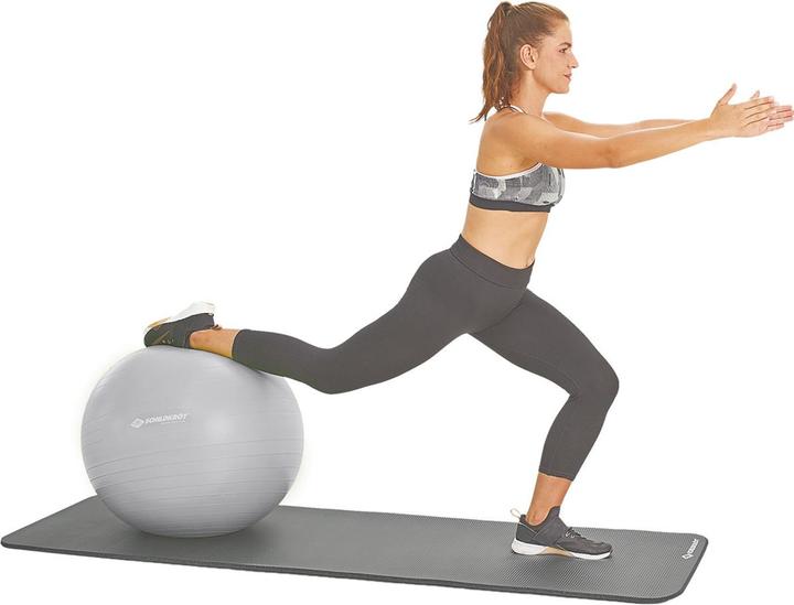 Actual product image Schildkröt Gym ball 65 cm (65 cm)