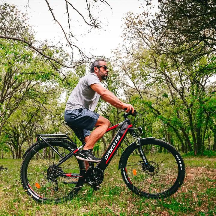 Actual product image Urbanbiker Dakota FE | Mountainbike E-Bike | 200KM Reichweite (46.50 cm)