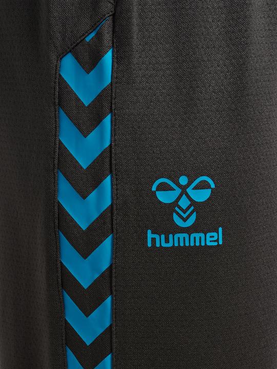 Image du produit hummel Hmlstaltic Training Pants (L)