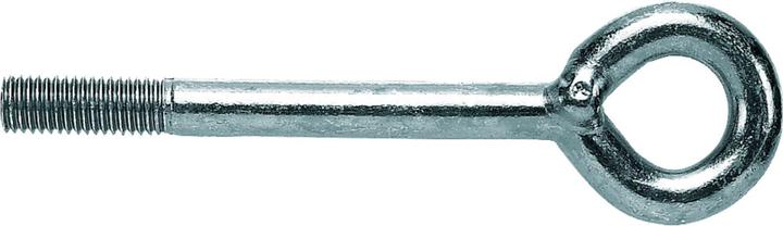 Fischer Scaffolding eye FI G M12x40 Eye d. 23 mm (20 pcs.)