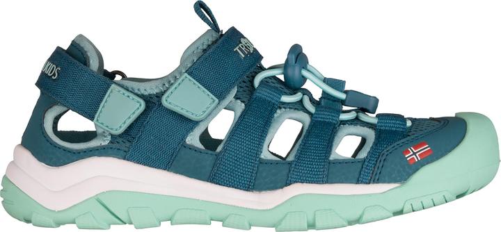 Teal / Aqua