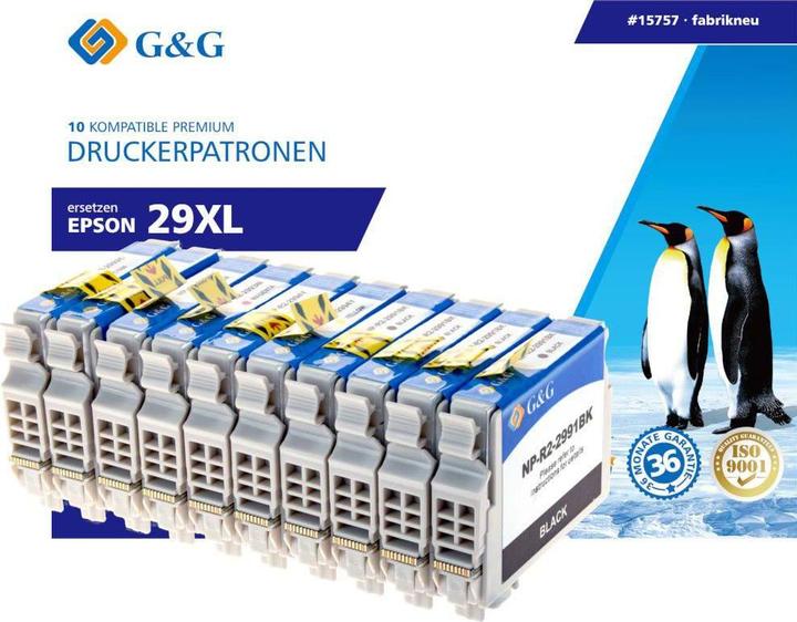 Actual product image 10 XL printer cartridges compatible with Epson 29XL 4x Black+ 2x Cyan Magent each