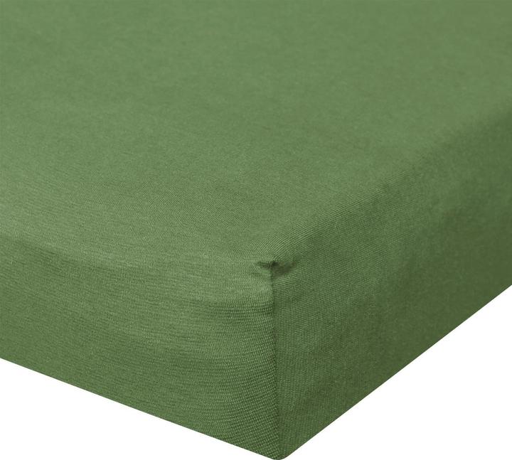 Bamboo, Green