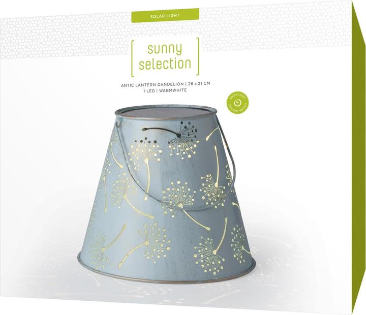 Actual product image STT Solar Light
