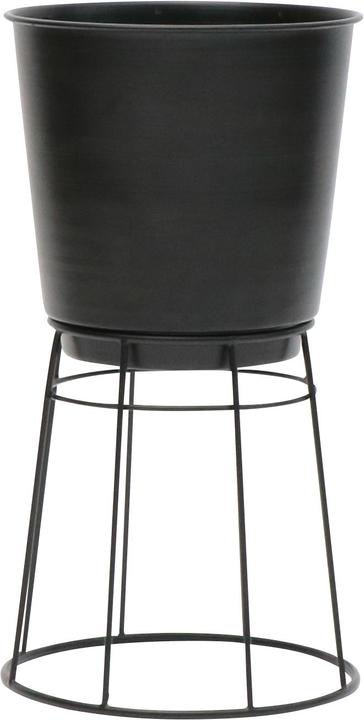 Actual product image zz_ArchivedByPCD_Mutoni Garten Maya (10.50 cm)