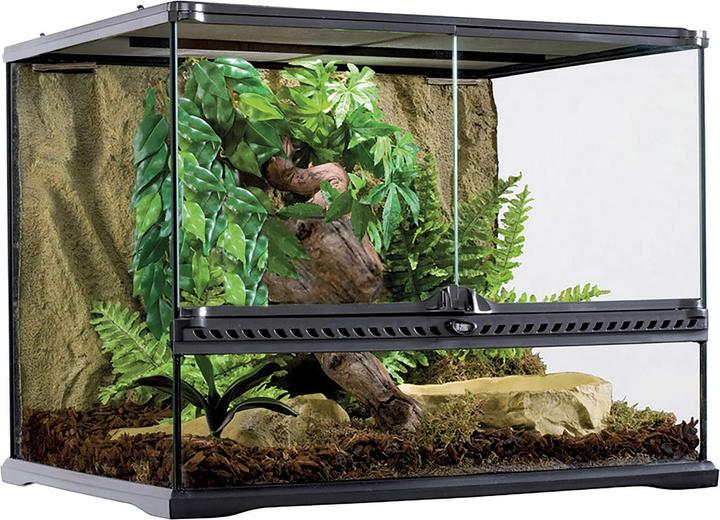 Exo Terra Terrarium