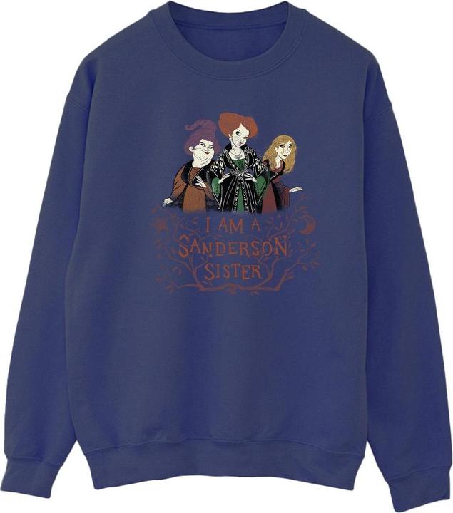 Actual product image Disney Mens Hocus Pocus Sanderson Sister Sweatshirt (S)