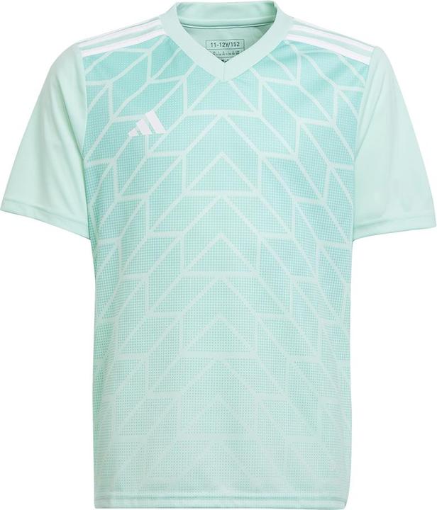 Actual product image adidas Team Icon 23 Jersey (128)