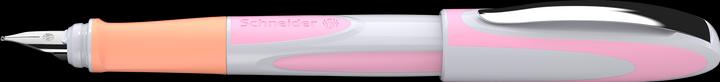 Image du produit Schneider Stylo à plume Ray (Flore)