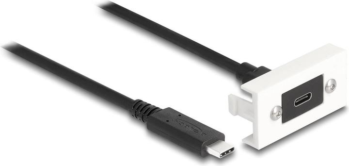 Delock Easy 45 Modul SuperSpeed USB 10 Gbps (1 m, USB 3.2 Gen 2)