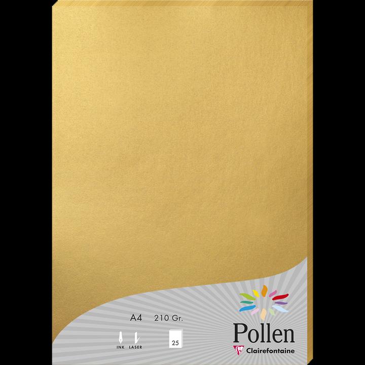 Produktbild Pollen Papier Packung (210 g/m², 25 x, A4)