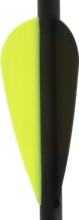 Actual product image Geologic Carbone