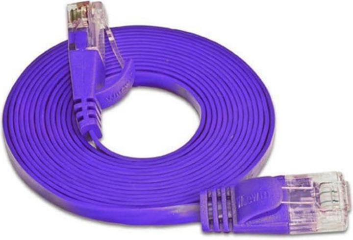 Wirewin Netzwerkkabel (UTP, CAT6, 0.25 m)