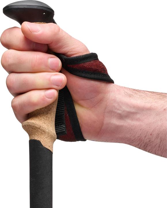 Image du produit Black Diamond Treckingst?cke Pursuit Carbon Z (anthrazit/orange, 1 Paar, 130 cm) (130 cm)