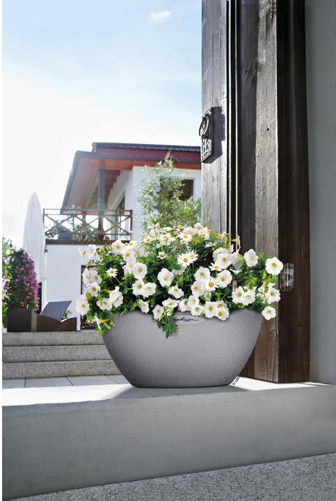 Immagine prodotto Lechuza Cubeto Colore (30 cm)