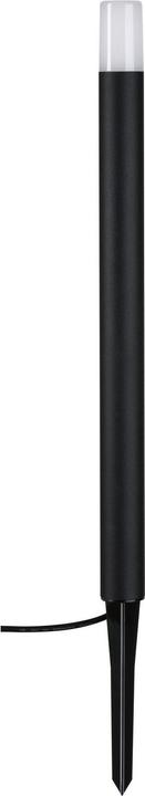 Actual product image Paulmann Outdoor Plug & Shine Flarea (270 lm, IP65)