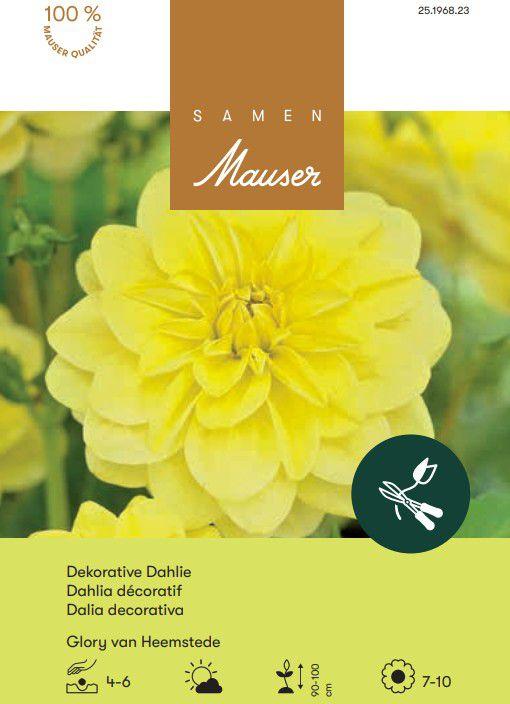 Produktbild Samen Mauser Seerosen Dahlie Glory van Heemstede (Blumensamen)