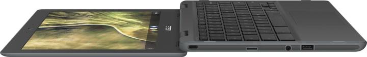 Immagine prodotto ASUS Chromebook C204MA (11.60", Intel Celeron N4020, 4 GB, CH)
