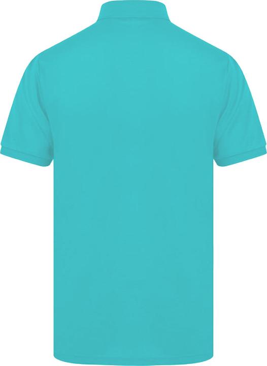 Image du produit Henbury Polo à manches courtes (L)