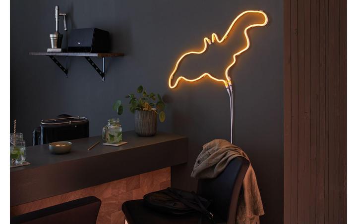 Actual product image Paulmann Neon Colorflex (Orange, 100 cm, Indoor)