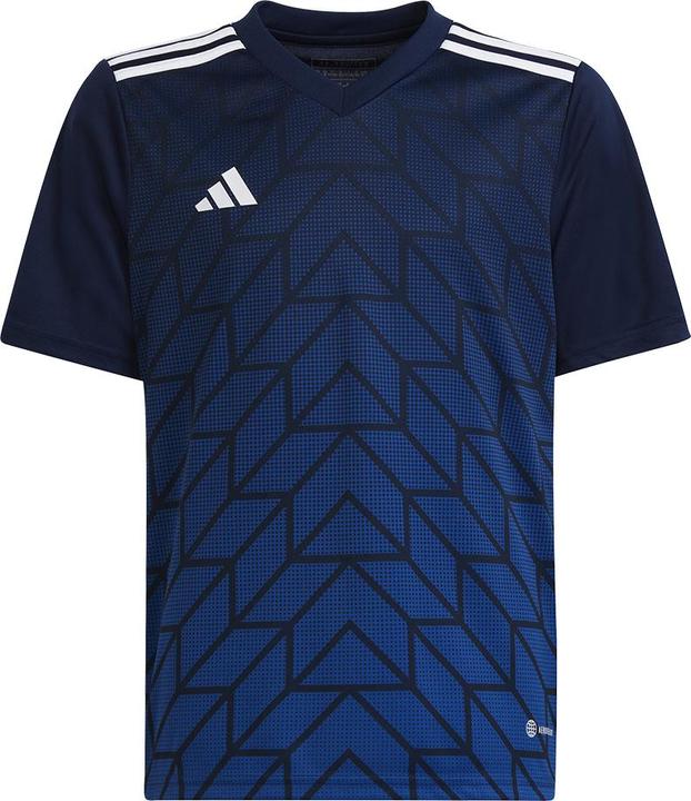 Produktbild adidas Team Icon 23 Trikot (176)
