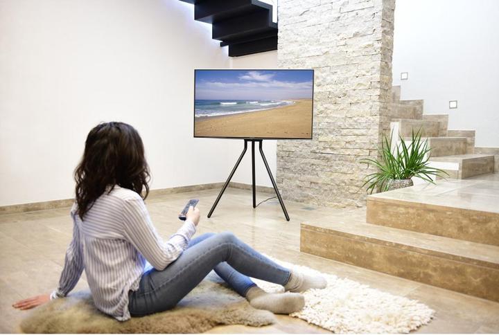 Actual product image Hama TV stand (75", 40 kg)