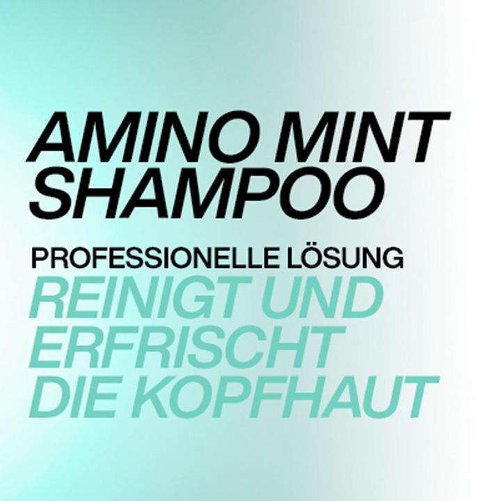 Image du produit Redken Amino Mint - Shampooing (300 ml, Shampoing liquide)