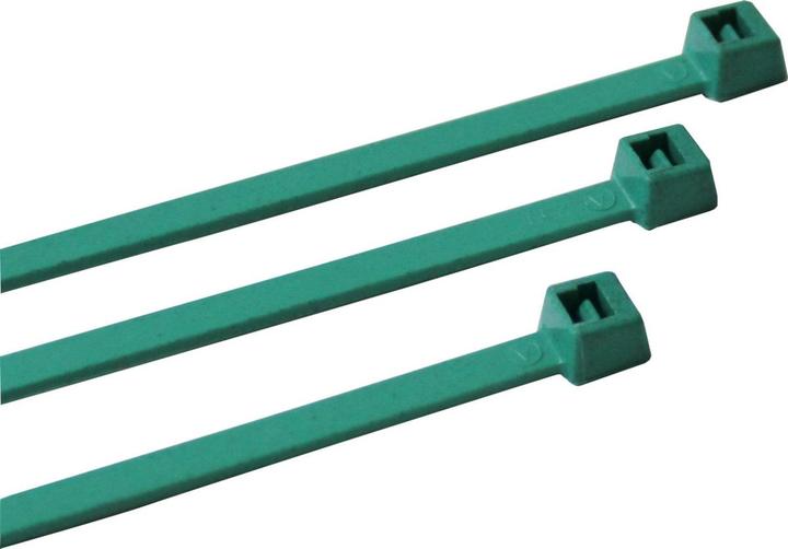 Immagine prodotto Brady Fascette con identificazione metallica Nylon Blu-Verde 177,8 x 4,57 mm 100 pz. (117.80 mm, 100 pz.)
