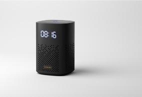 Actual product image Xiaomi Smart Speaker (IR Control) (Electrical connection)