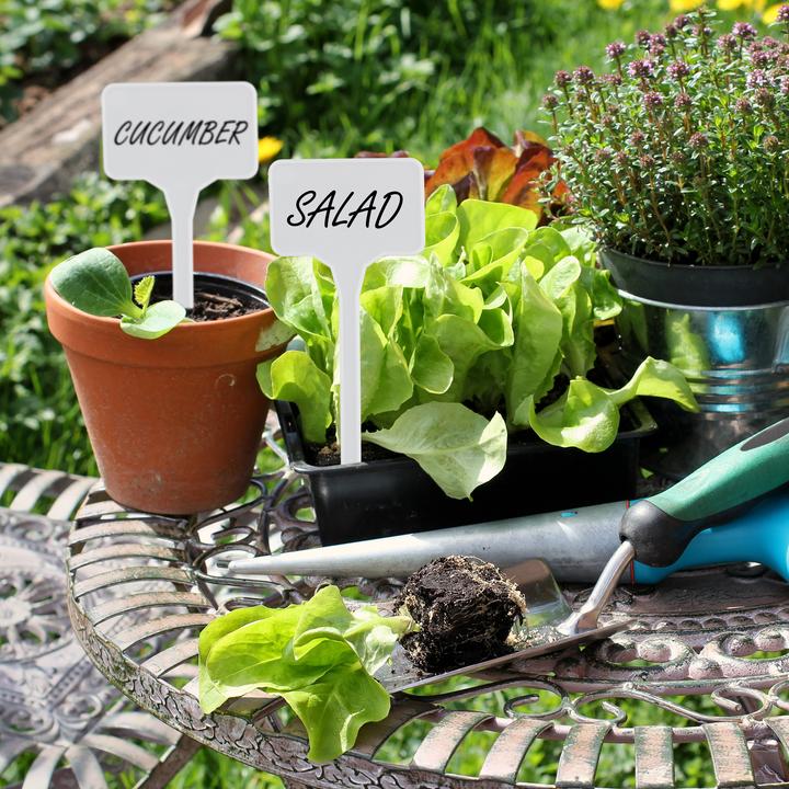 Actual product image Relaxdays Plant Labels, Pack of 100 (0.20 cm, 5.50 cm)