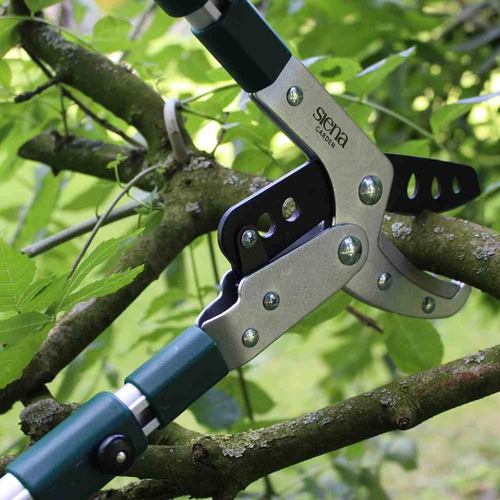 Actual product image Siena Garden Pro Aluminium Anvil Pruning Shears