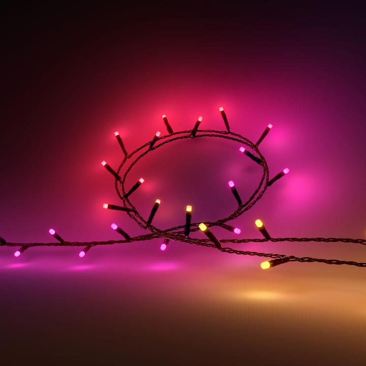 Image du produit Philips Hue Festavia (prise suisse) (20 m)