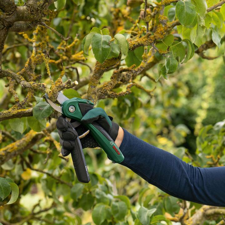 Immagine prodotto Bosch Home & Garden EasyPrune