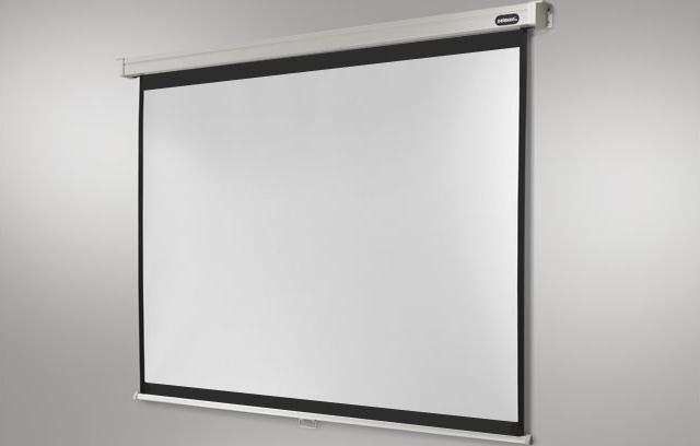 Actual product image Celexon Rollo Professional, Canvas, 4:3 (133.07", 4:3)