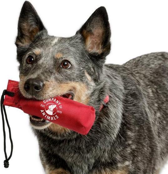Produktbild Company of Animals Beisswulst Nylongriff, schwimmt, 14 cm, rot