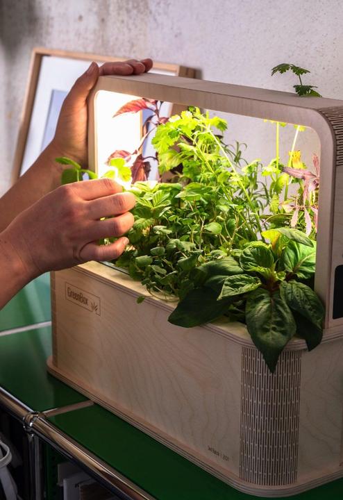 Produktbild BerlinGreen GreenBox Great Variety Bundle