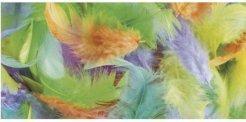 Produktbild Rayher Feather Mix 3-10cm 10g