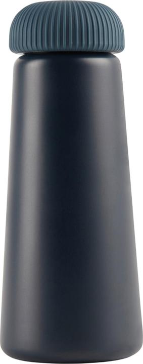 Produktbild Vinga Wasserflasche Erie Recycelter Edelstahl 450ml (0.45 l)