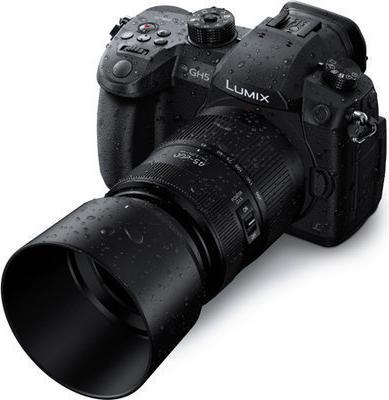 Actual product image Panasonic 45-200 mm f/4.0-5.6 II O.I.S. (Micro Four Thirds, Micro Four Thirds)