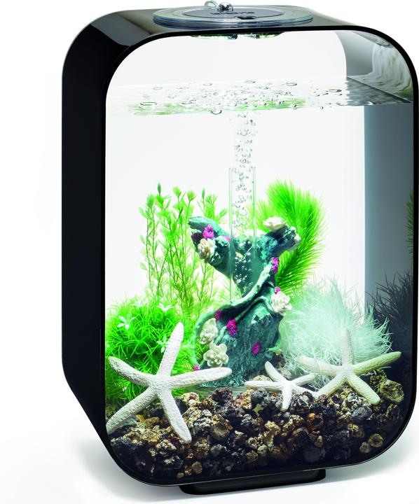 Actual product image Oase biOrb Aquarium 15 Decor Set (Embellishment, other items)